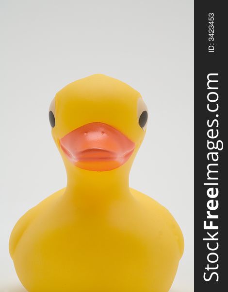 Yellow Rubber Duck