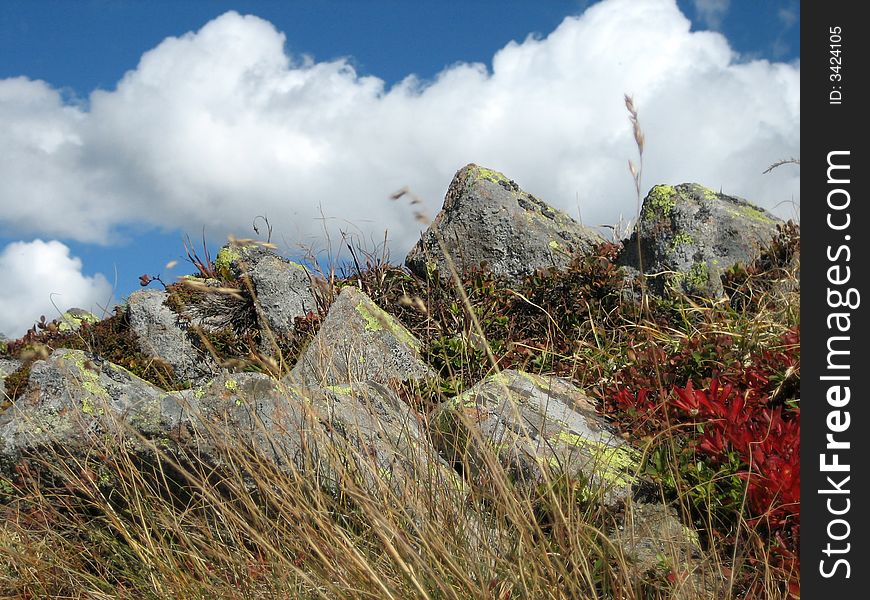 Hillside in the mountains in nature with rocks grass and other plants. Hillside in the mountains in nature with rocks grass and other plants