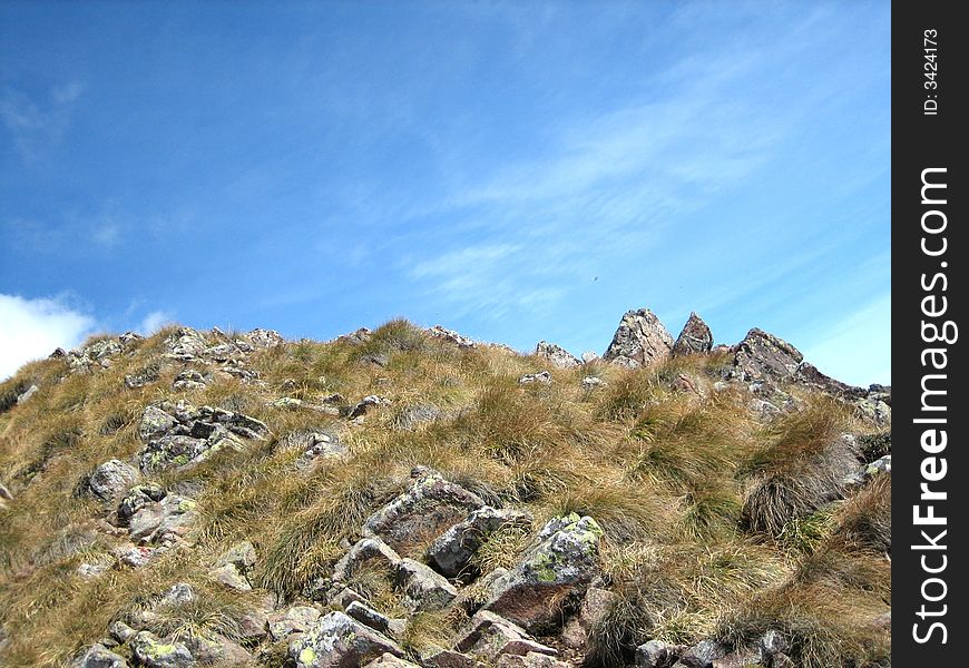 Hillside in the mountains in nature with rocks grass and other plants. Hillside in the mountains in nature with rocks grass and other plants