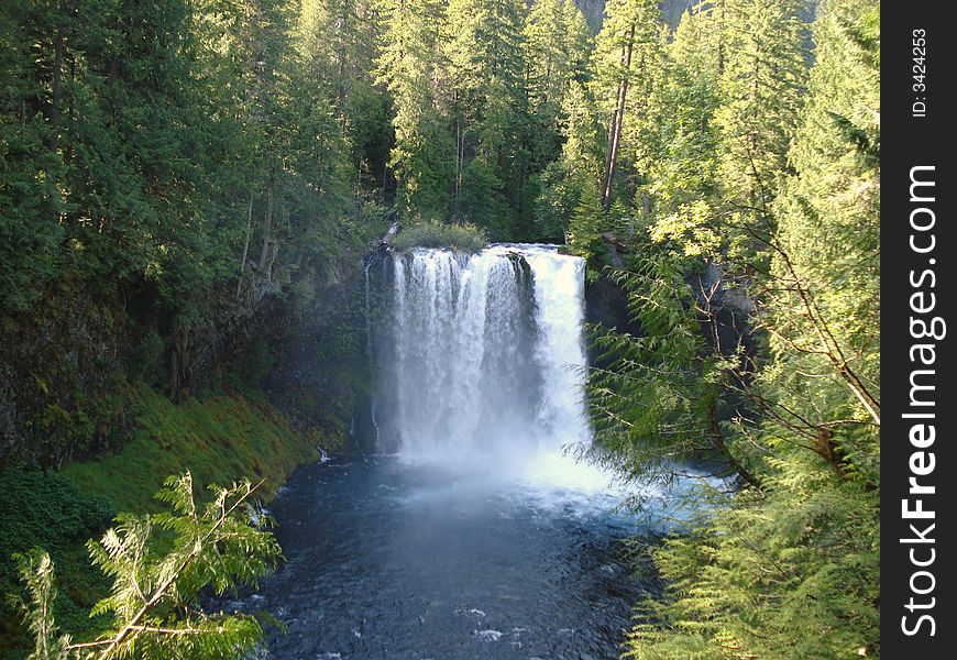 Koosah Falls is the Waterfall in central Oregon.