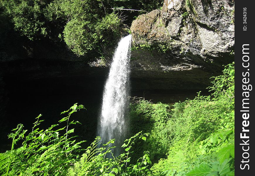 North Falls is the Waterfall in Silver Falls State Park.