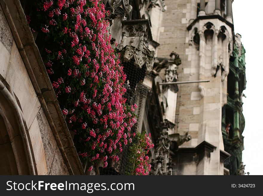 Flowers and Castle