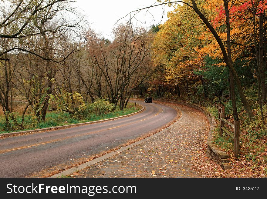 A picture of a curve through the woods in autumn. A picture of a curve through the woods in autumn