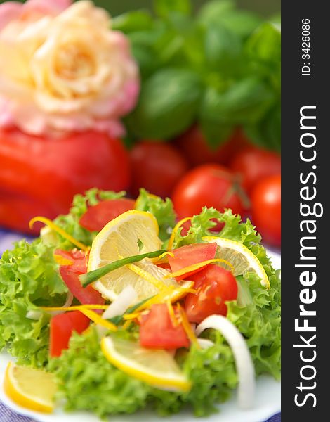 Delicious vegetable salad with tomato, onion and cucumber. Delicious vegetable salad with tomato, onion and cucumber