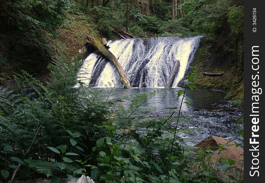Lower North Falls is the Waterfall in Silver Falls State Park.