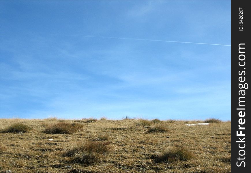 Landscape in nature with trees and grass. Landscape in nature with trees and grass