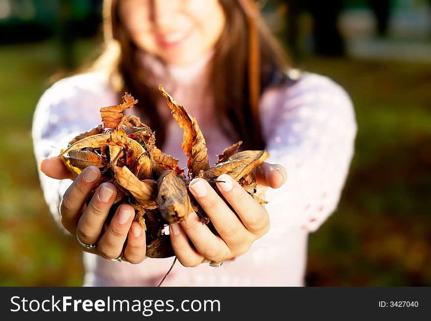 Beautiful Autumn - beautiful young girl holding golden leaves in her hands - focus on them