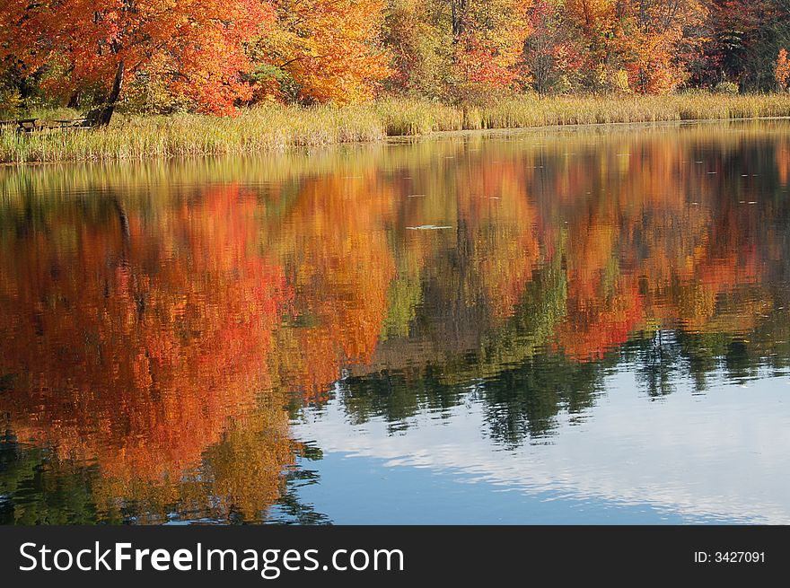 Red, Yellow, and orange trees reflected in a lake. Red, Yellow, and orange trees reflected in a lake