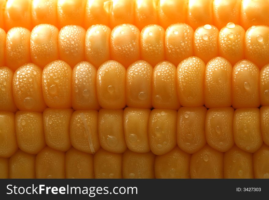 Fresh grains of corn and dewdrop, background. Fresh grains of corn and dewdrop, background