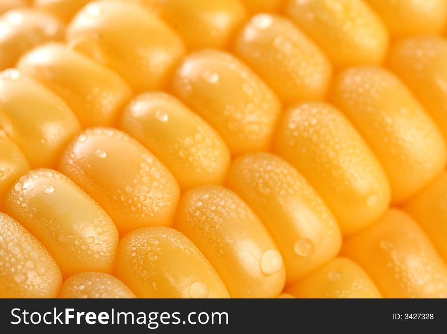 Fresh grains of corn and dewdrop, background. Fresh grains of corn and dewdrop, background