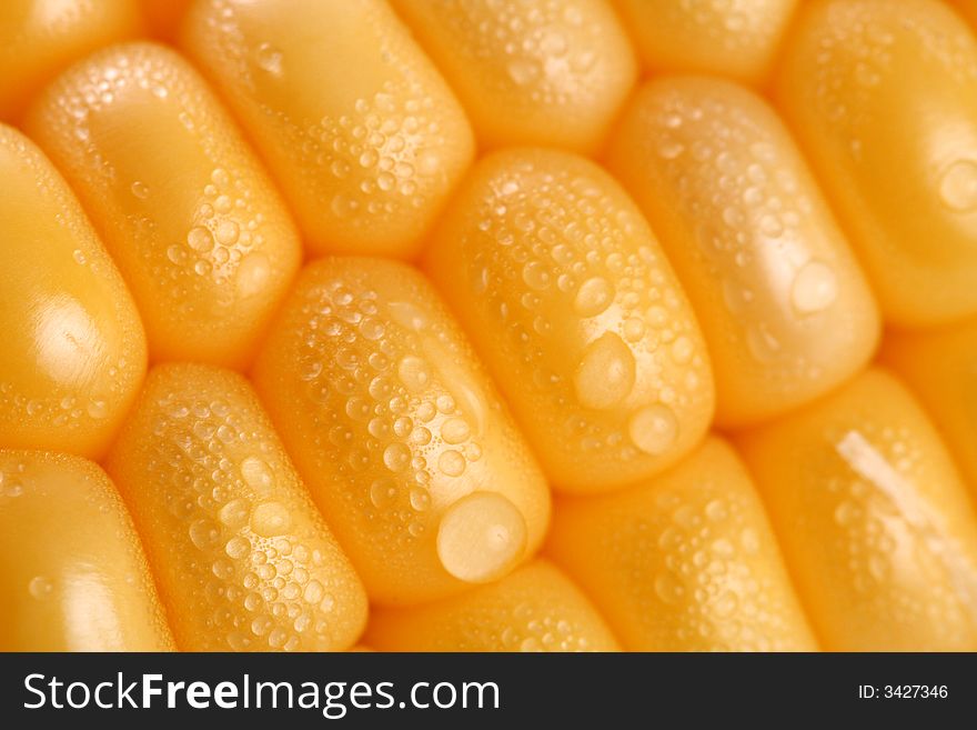 Fresh grains of corn and dewdrop, background. Fresh grains of corn and dewdrop, background