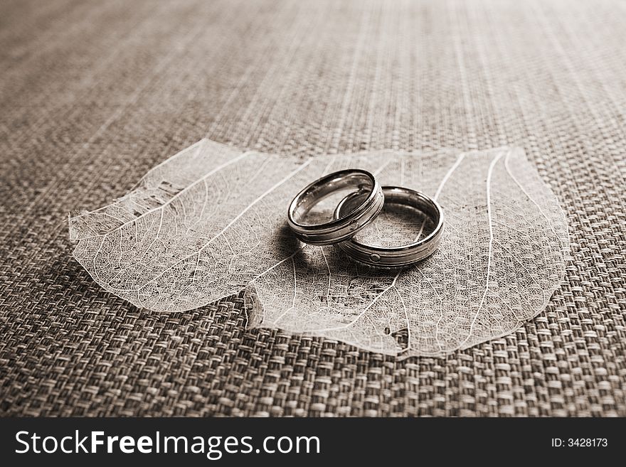 Couple's wedding ring on the petals. Couple's wedding ring on the petals.