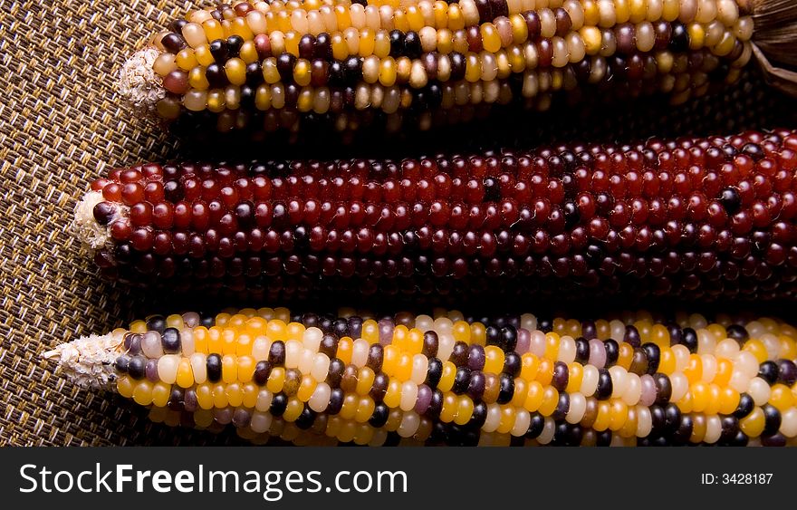 Showing three different kind of indian corn.