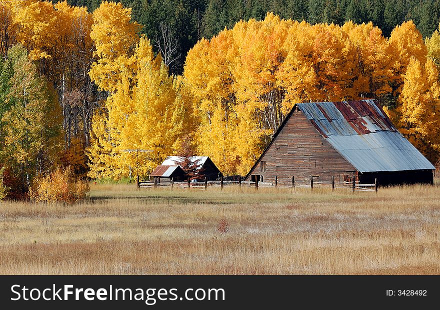 Old Barn In The Autumn