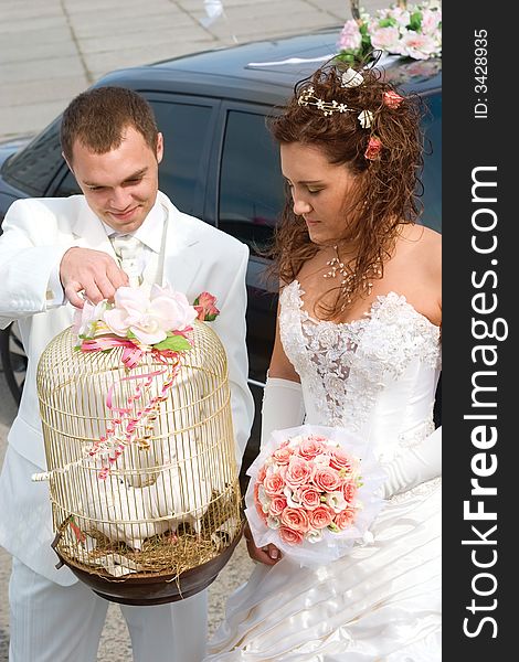 Young couple in wedding wear with bouquet of roses and pigeons. Young couple in wedding wear with bouquet of roses and pigeons.