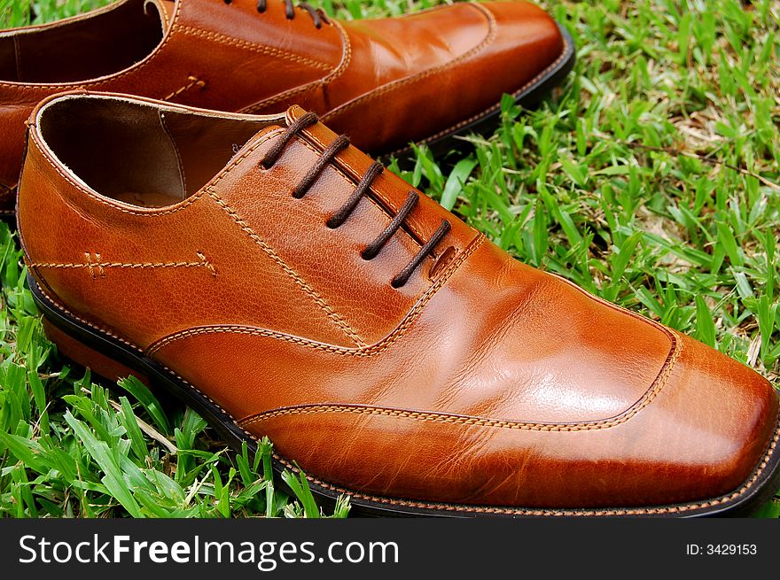 A pair of leather shoes on the grass. A pair of leather shoes on the grass.