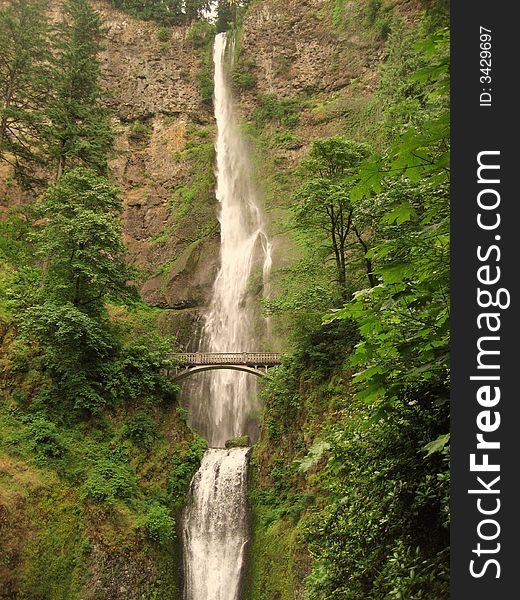 Multnomah Falls is the highest Waterfall in Columbia River Gorge.