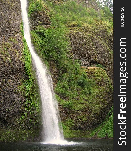 Horsetail Falls is the Waterfall in Columbia River Gorge.