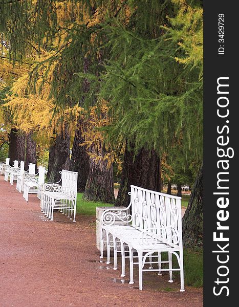 Row of white benches in a autumn park