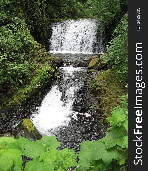 Dutchman Falls is the Waterfall in Columbia River Gorge.