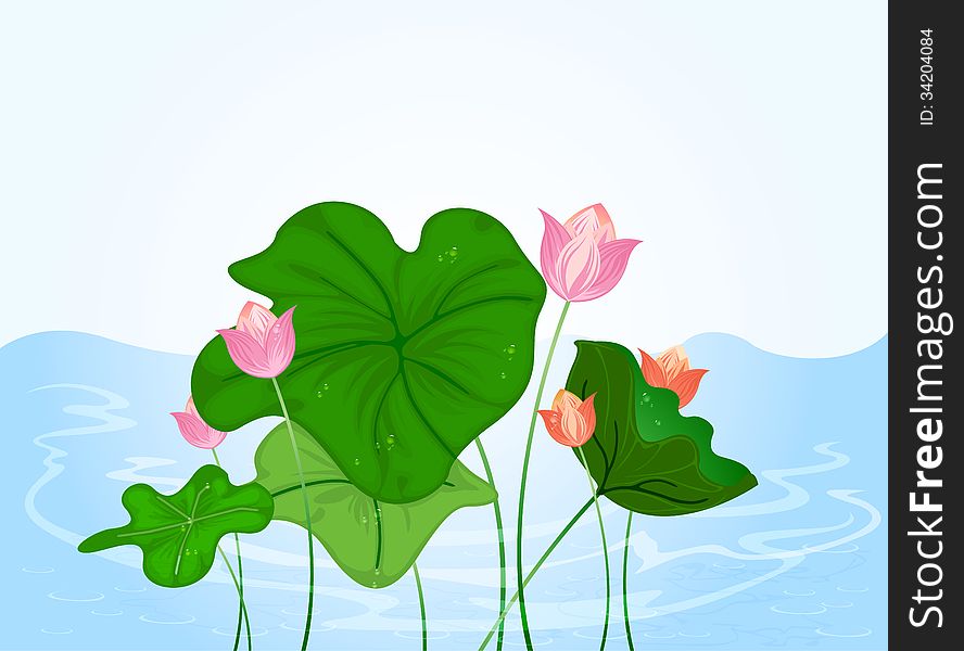 Illustration water lily blossom natural background