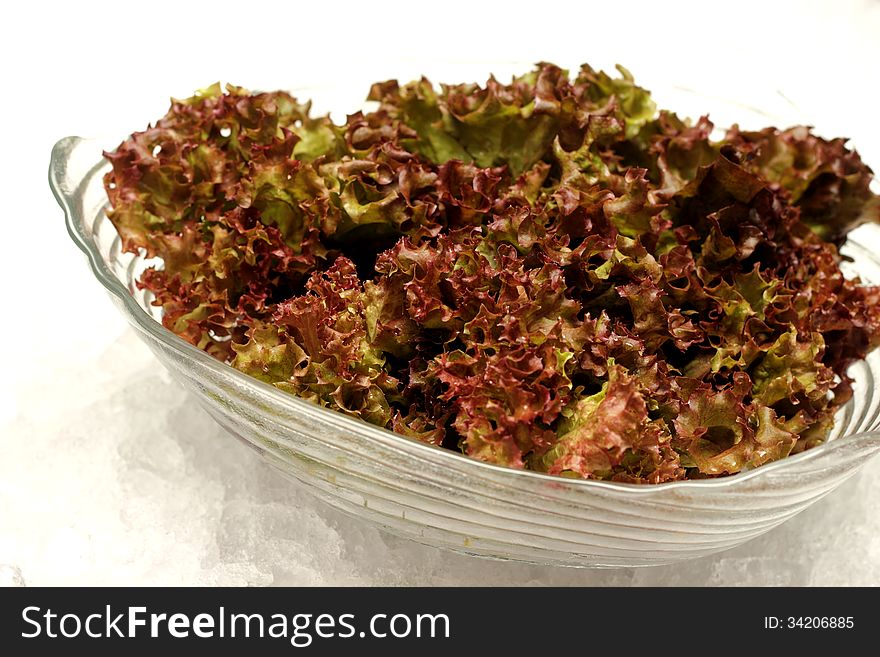 Red cabbage lettuce head in glass bolwe
