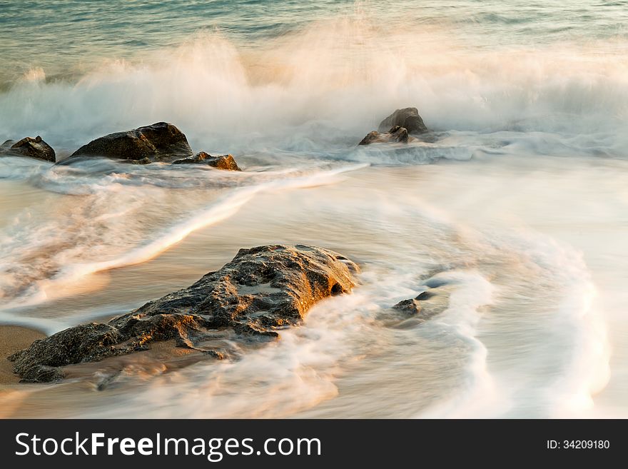 Beautiful Detail In The Coastal