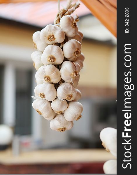 Garlic hanging on wood with blurred background