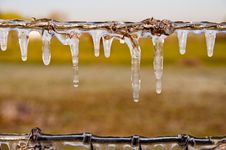 Frozen Icicles Stock Images Frozen Icicles Stock Images
