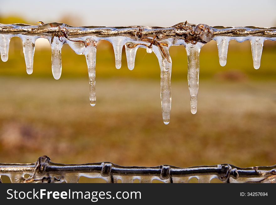 Frozen icicles on a metal wire