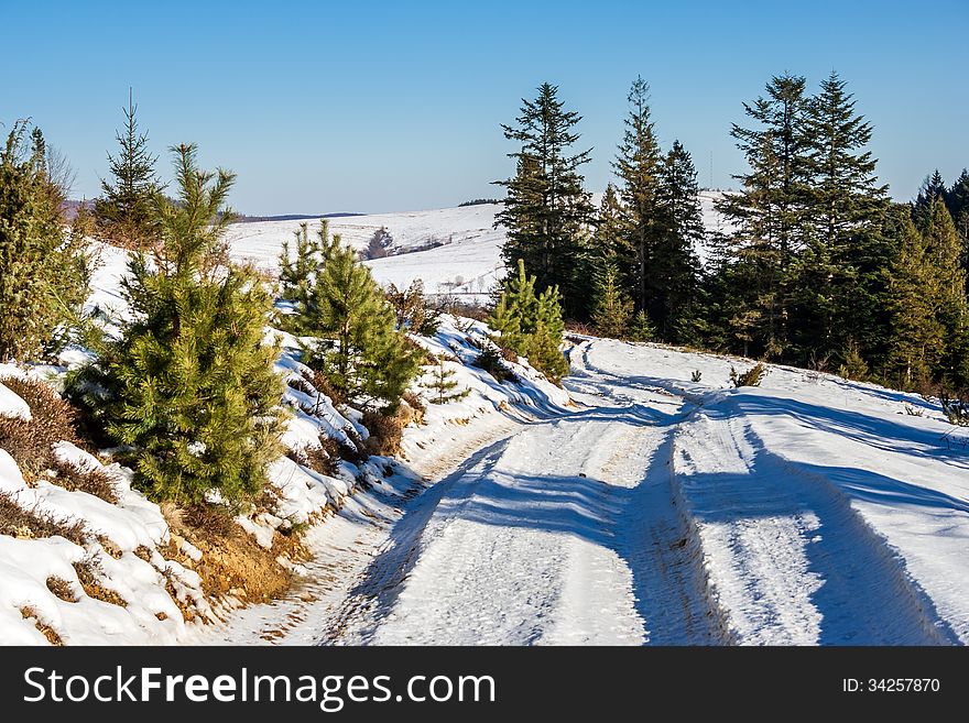 Trees along the winding road leading to the mountain in winter. Trees along the winding road leading to the mountain in winter