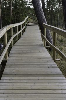 Wooden Bridge Into The Forest Royalty Free Stock Photo