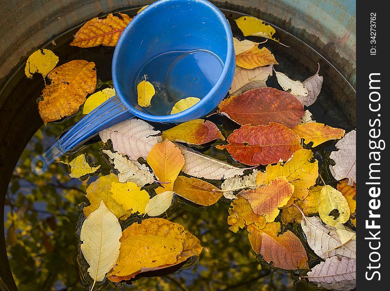 colored leaves in the barrel of the water. colored leaves in the barrel of the water
