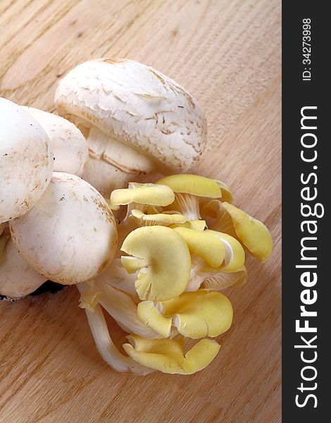 Various types of mushrooms on wooden background of chestnut