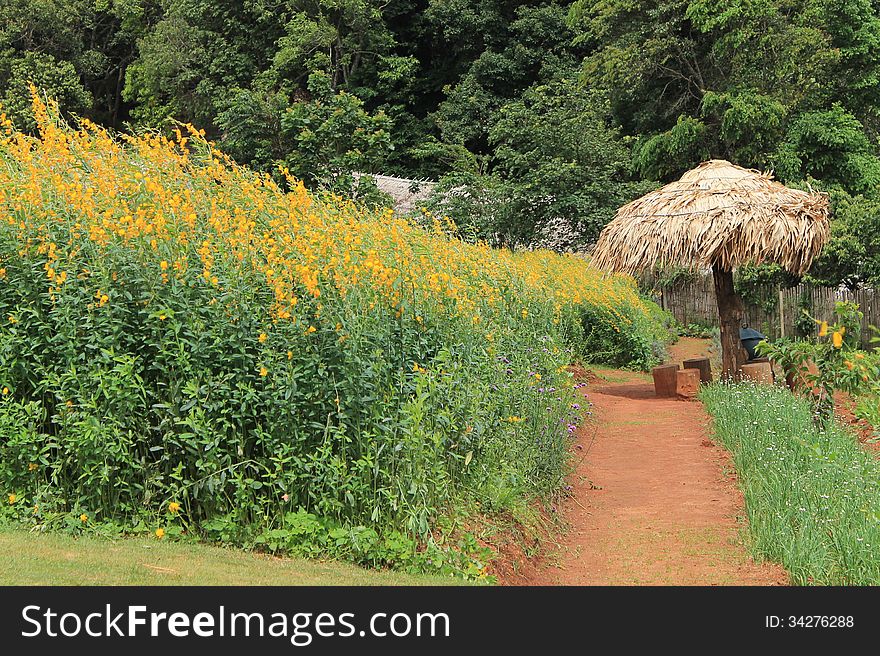 Mon Cham Beautiful Garden In Chiang Mai Thailand