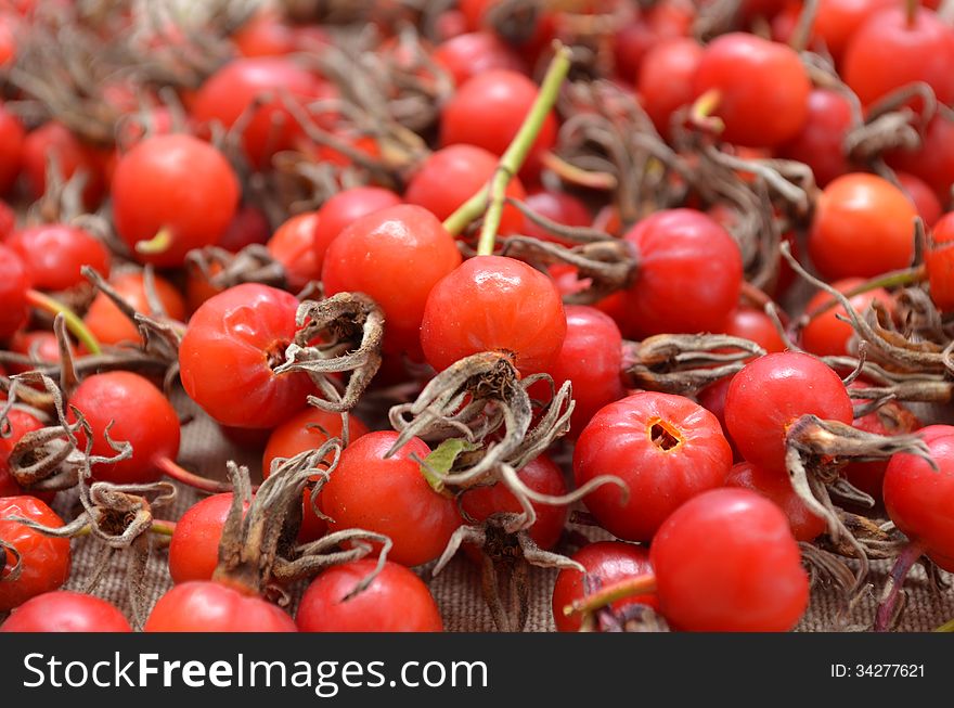 Dry Berries Of Dogrose