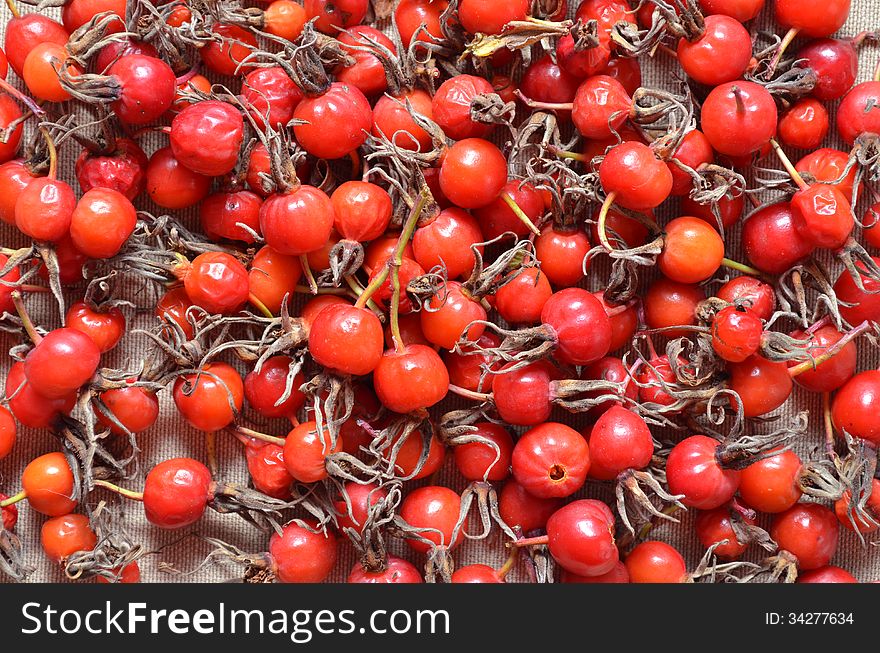 Dry Red Berries Of Dogrose