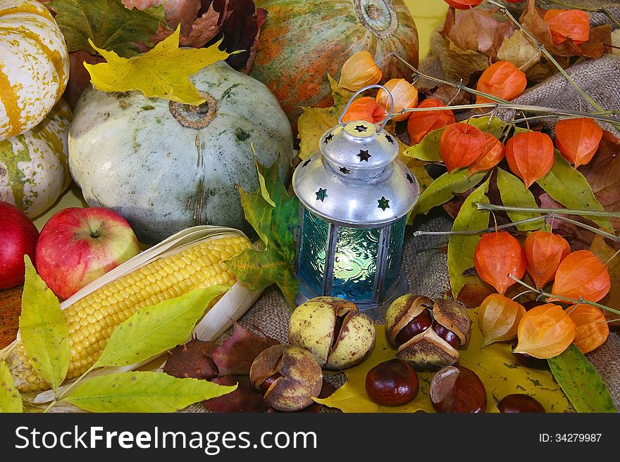 Pumpkins, corn, apple on a natural background frame. Pumpkins, corn, apple on a natural background frame