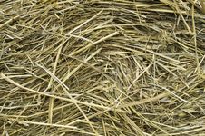 Hay Stacked, Meadow, Christmas Background Stock Images Hay Stacked, Meadow, Christmas Background Stock Images