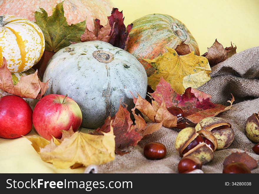 Pumpkins, corn, apple on a natural background frame. Pumpkins, corn, apple on a natural background frame