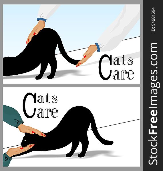Two illustrations with detail of doctor hands caressing the back of a cat and the head of a cat. Two illustrations with detail of doctor hands caressing the back of a cat and the head of a cat