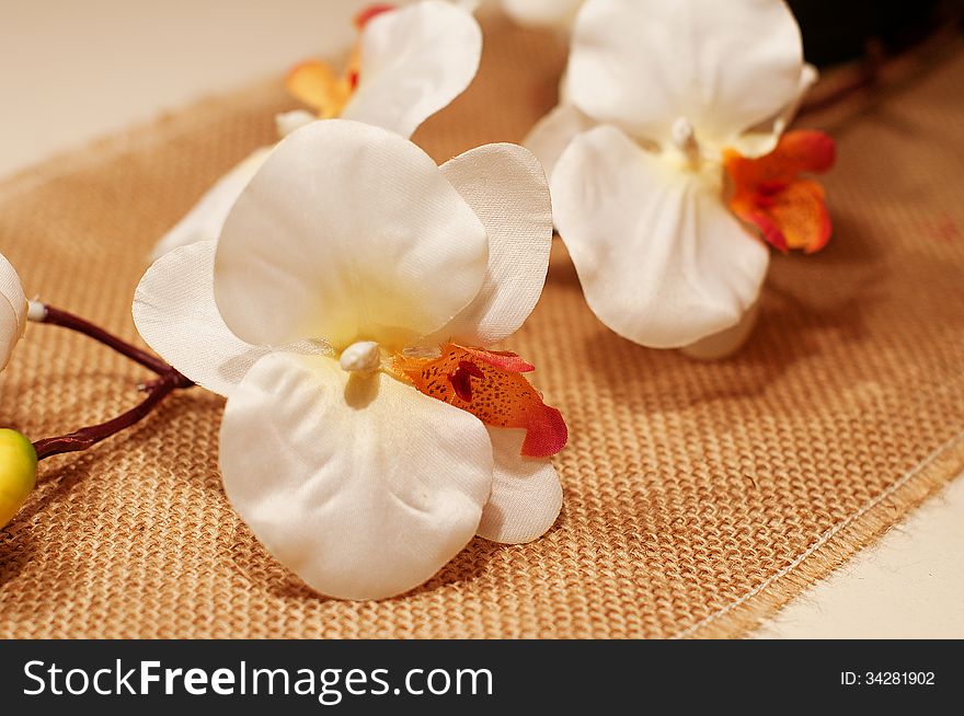 White orchid on a white table and kind mat