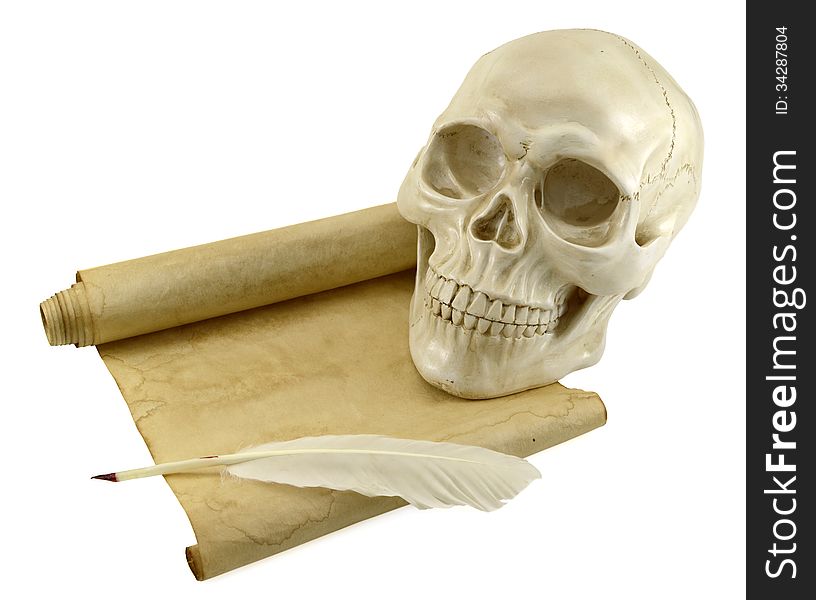 Creepy human skull with shabby scroll and white feather isolated