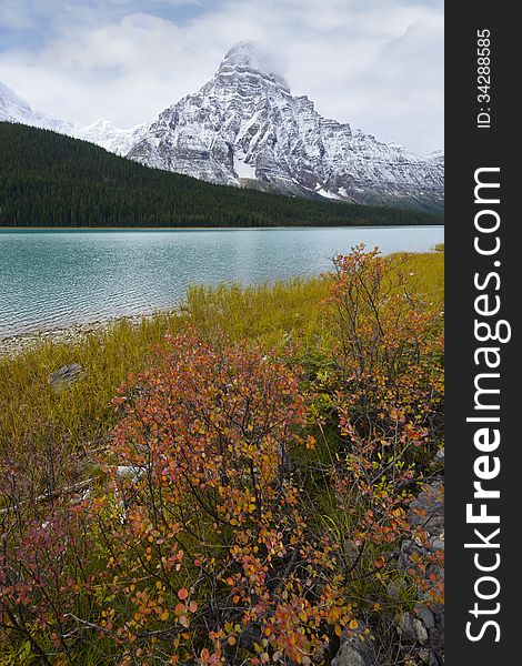 Mount Chephren and Waterflow lake in fall color, Jasper National Park, Alberta, Canada;