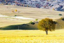 Dam Autumn In Inner Mongolia Royalty Free Stock Images