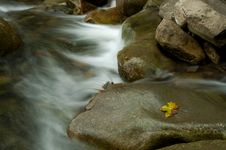 Mountain River Royalty Free Stock Photography