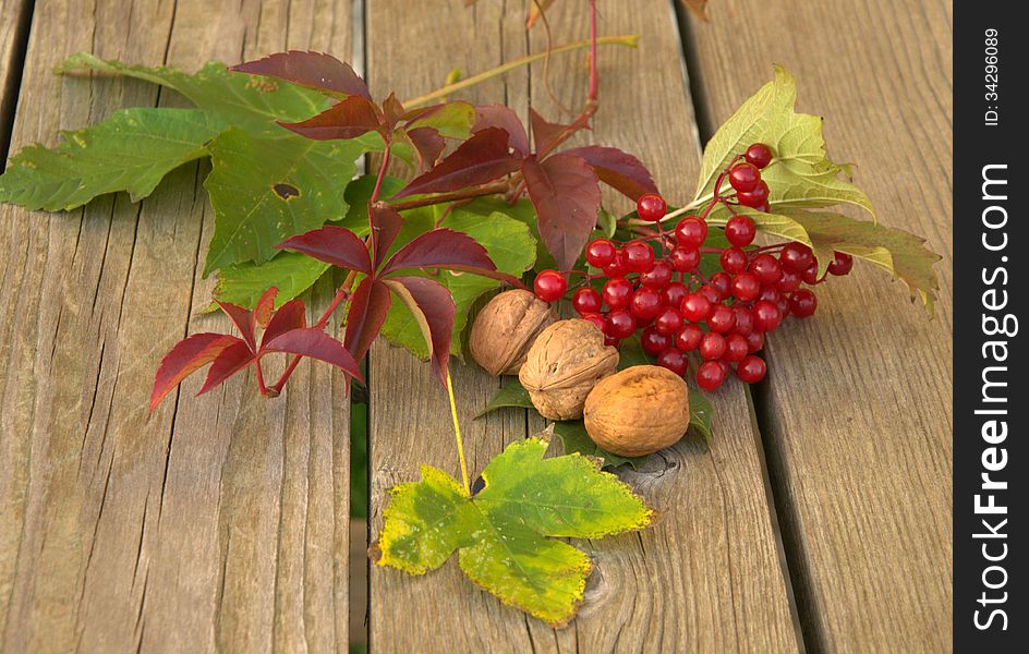 Autumn still-life and walnuts on the garden table. Autumn still-life and walnuts on the garden table