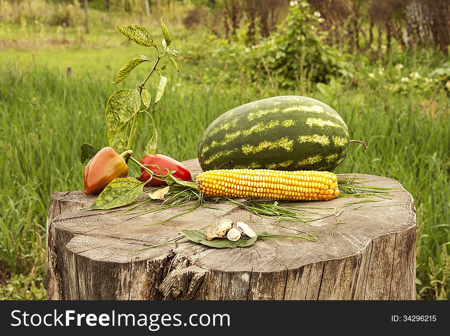 Vegetables on colorful autumn background. Vegetables on colorful autumn background