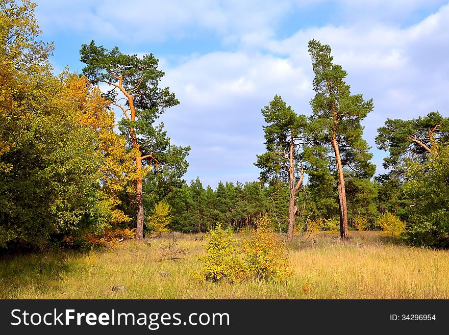 Autumn landscape, bright paints of the nature