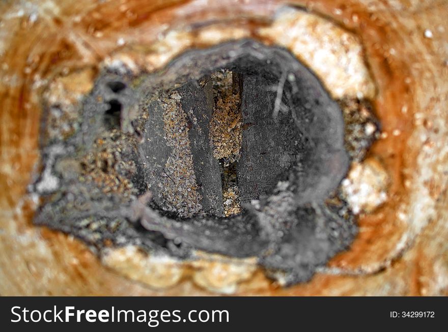 Top view of a sliced piece of wood with a hole in the middle